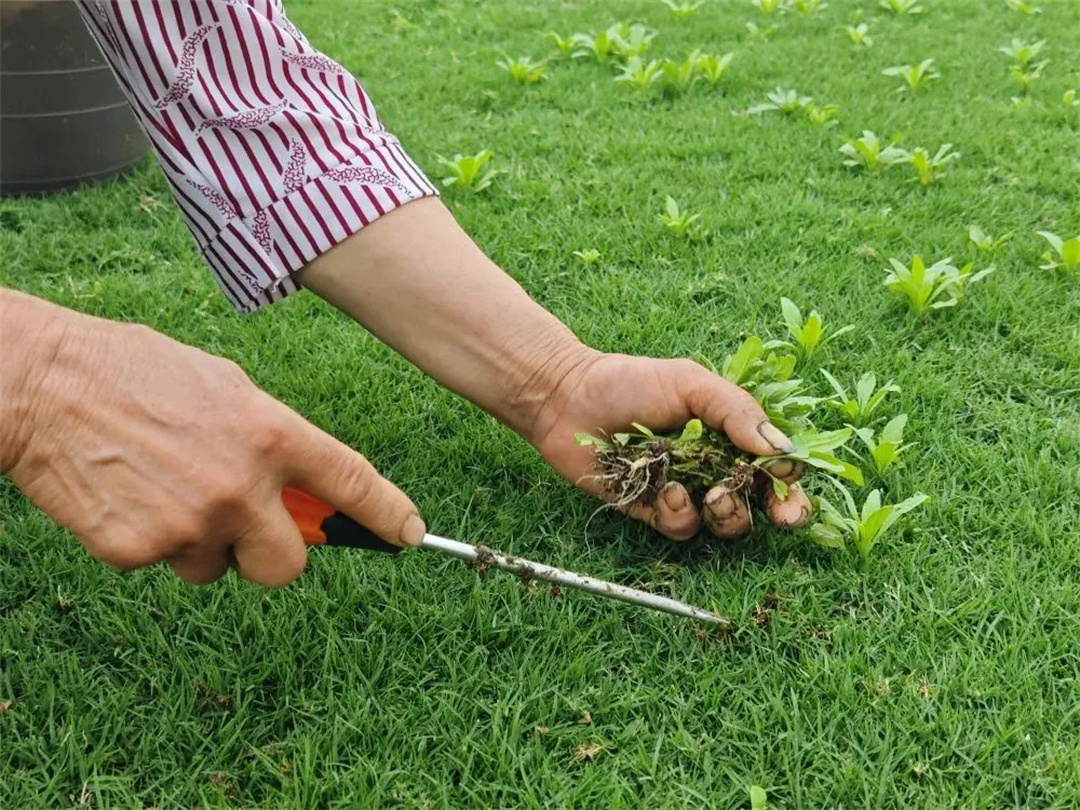 萬豪集團(tuán)匠心助力，6月齊聚重慶龍興足球場為國足吶喊助威！